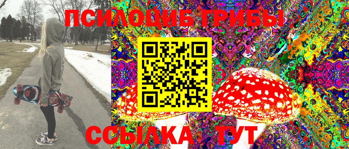 Псилоцибиновые грибы Psilocybine cubensis  Вход с VPN  Орск 